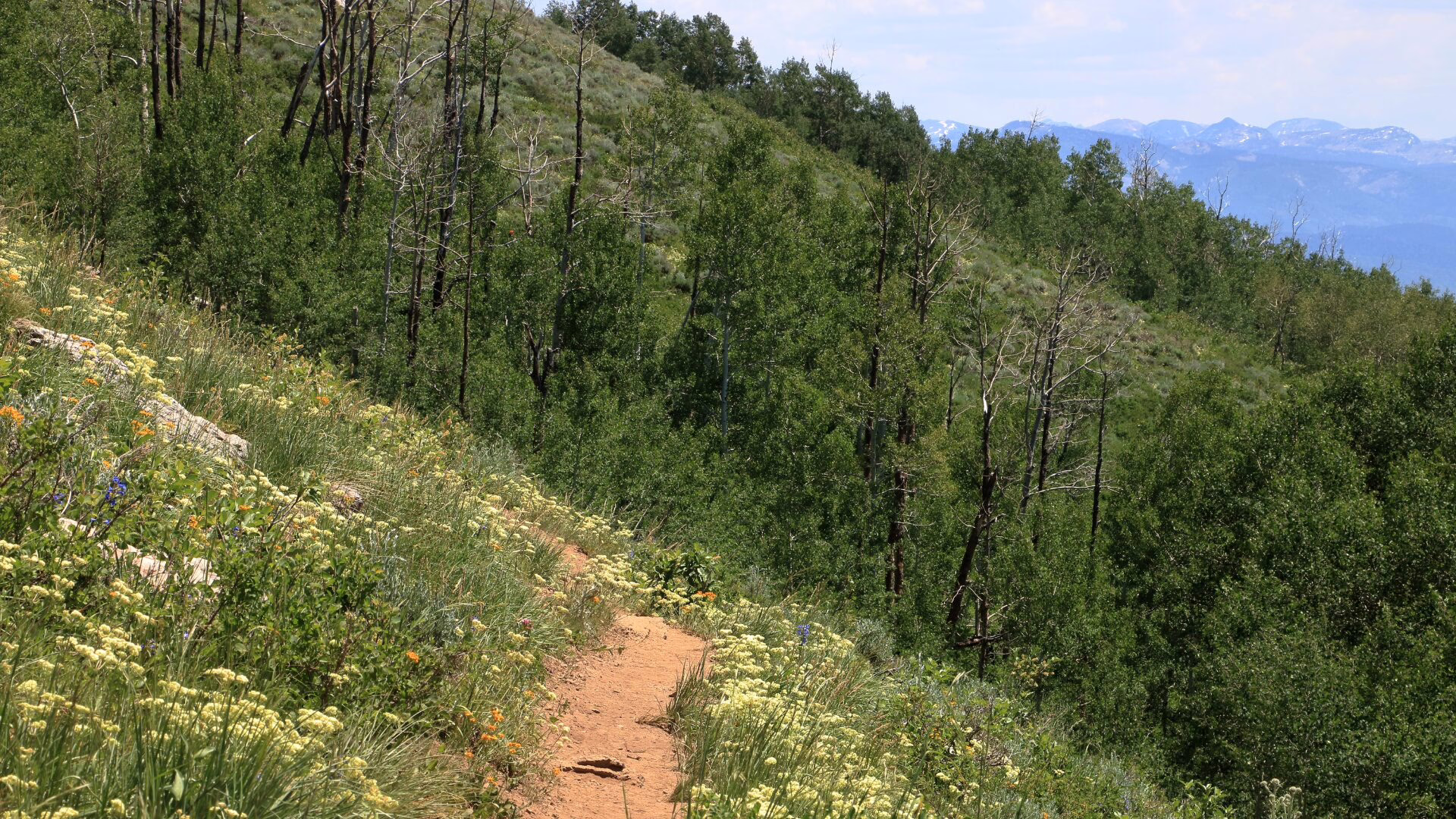 Exploring Deer Valley: Ultimate Guide to Trails & Recreation