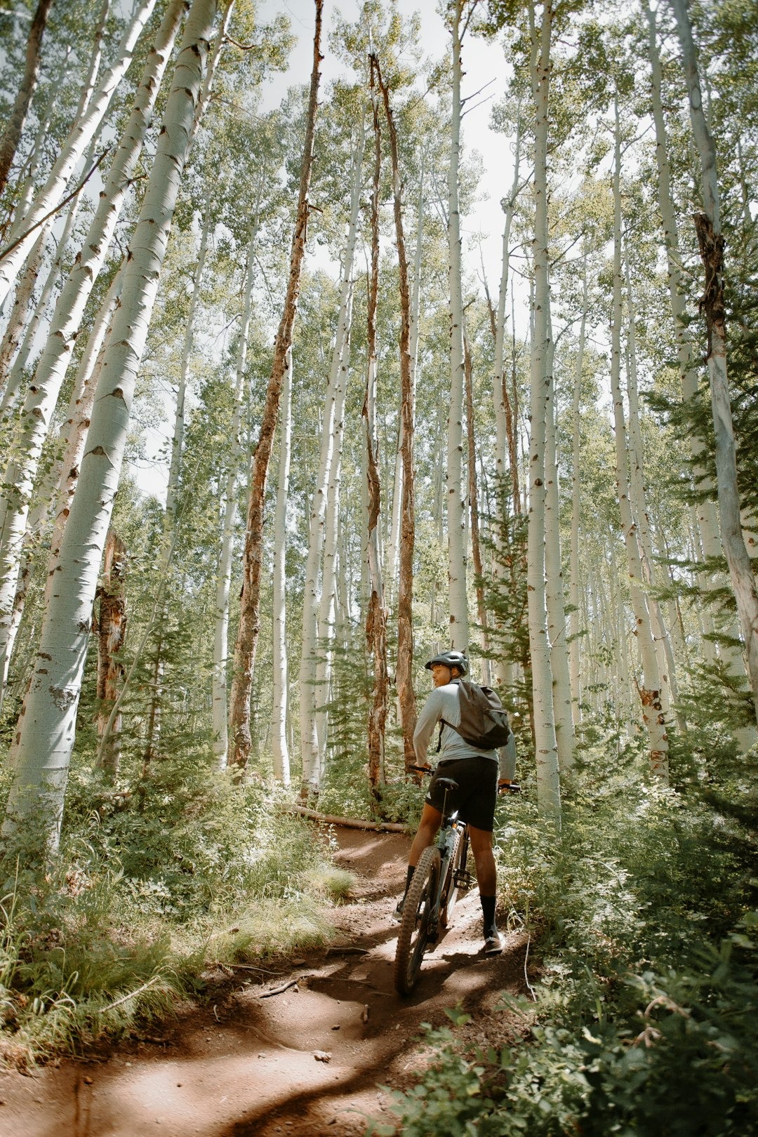 Biker in Forested Area